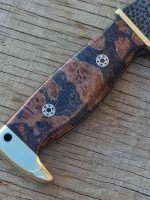 کازد پیروز مدل سان مای